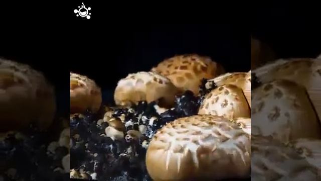 Beautiful duaa for evey one must watch n say Aameen summa aameen смотреть онлайн