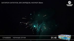 СЛ426200 Ночные огни