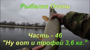 Рыбалка. Осень. Часть - 46. "Ну вот и трофей 3,6 кг".