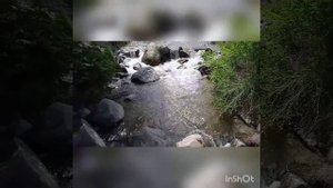 Про любоф... Соломонова