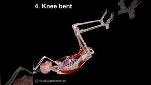 Флаг дракона