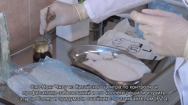 Создан “умный” ошейник, который защищает собак от гельминтоза