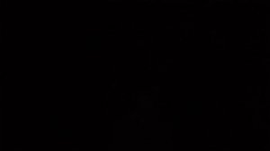 Переговоры пилотов с авиадиспетчерами