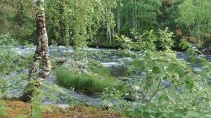 ASMR Шум Реки Звуки Природы Для Сна Текущая Вода RELAX
