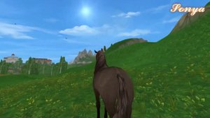 №1/Star Stable Online/Покупка лошади/Умбра
