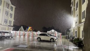 Перевод смыслов Корана/ Сура 6: Аль-Ан’ам. Скот