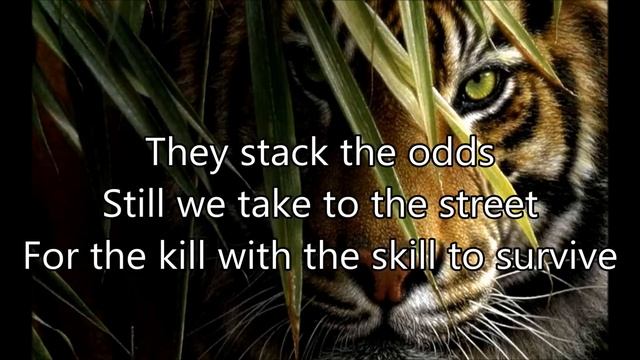 Survivor – Eye Of The Tiger Lyrics