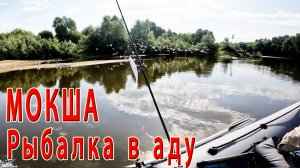 Рыбалка на реке Мокша. Спиннинг. Открытие сезона 2024г.