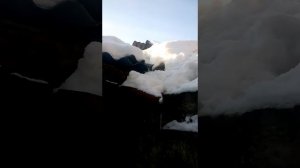 ШОК!!!!  КОТЫ РАЗГОВАРИВАЮТ ЧЕЛОВЕЧЕСКИМ ГОЛОСОМ!! КАК ОНИ ЭТО ДЕЛАЮТ??? СМОТРЕТЬ ВСЕМ!!