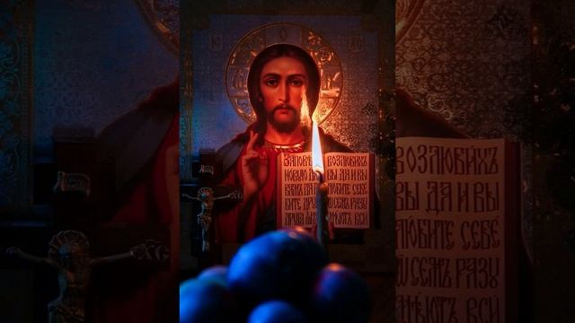 Анатомия сердца