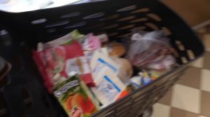 VLOG Реакция Алисы на хомяка. Лагерь 2 день