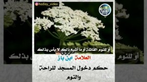 Можно ли отдыхать и спать в мечети? Шейх Ибн Баз #мечеть #ибнбаз #фикх #ханафиты #саудия