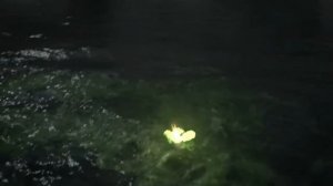 Game Of Thrones - 2x09 - Blackwater - Wildfire Scene (HD)