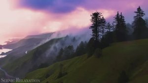 Животные Америки — живописный фильм о дикой природе с успокаивающей музыкой!