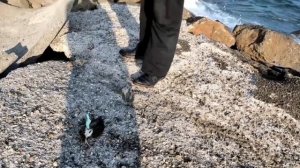 Хочу на море 2023