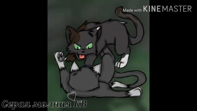 Hero meme || Коты Воители || по моей книге смотреть онлайн