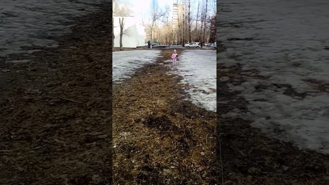 Соколиная охота