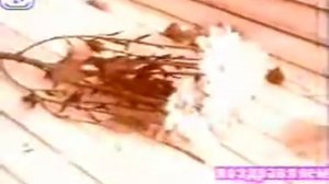 ОЛЬГА ХОДОЧИНСКАЯ Ах, эта осень.wmv