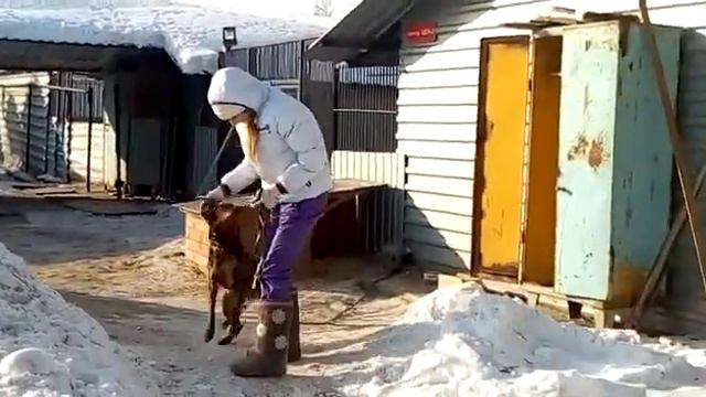 Обнимашки с Лейлой