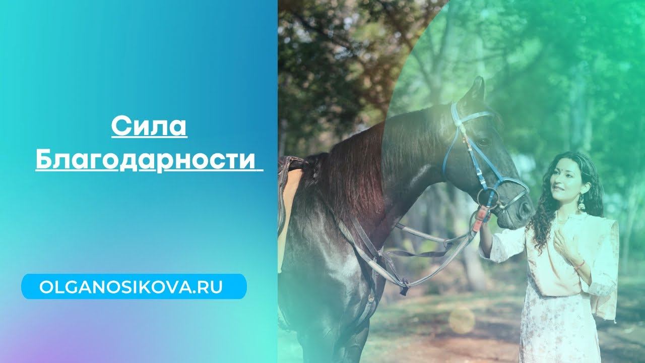Сила благодарности