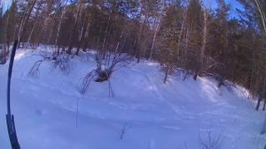 охота на рябчика на пищщик в феврале с пневматикой.