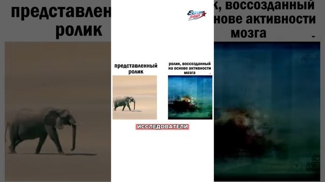 ЗАПИШИ свой СОН!