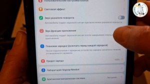 Segway ZT3 Pro. Один самокат и два руля.