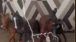 костёр душ 6