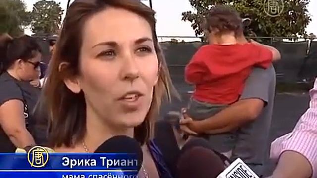 кот спас ребёнка от собаки (новости)