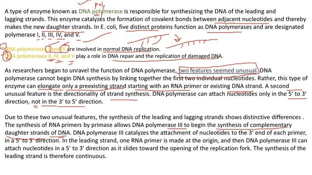 Prokaryotic DNA Replication Part II | For UG PG Students (Biology) and also for Engineers
