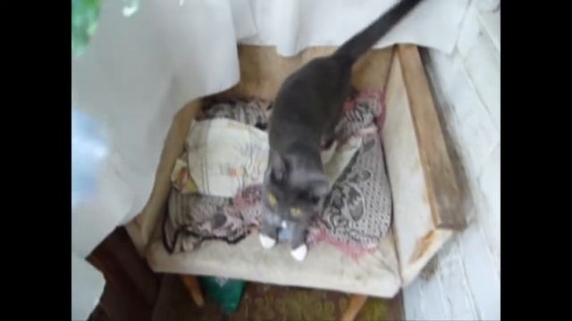 В Рязани дождик ))) смотреть онлайн