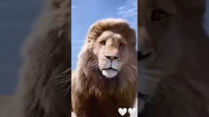 Король Лев Leon king Mufasa Муфаса Симба Simba  🤍🤍