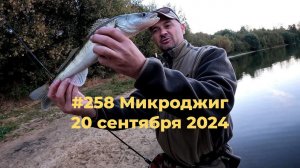 #258 Микроджиг 20 сентября 2024