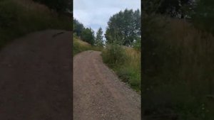 Убегаем от алкаша