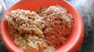 Рыбный день , готовим котлеты из пеляди.