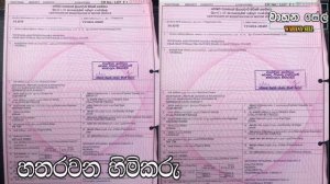 කැරවන් VYGE 24 (VX) ගොඩක් අඩුවට සුපිරිම තත්වයේ රථය ඉක්මනින් අමතන්න | Nissan caravan van for sale