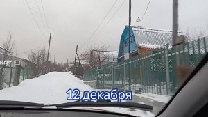 ЗАЧЕМ НА ДАЧУ/ЕДЕМ В МАНГО/НАШЛА РАМКУ. 12.12.24г