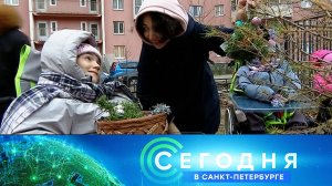 «Сегодня в Санкт-Петербурге»: 12 декабря 2024 года