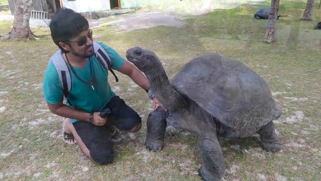 Top Animals We Have Encountered while Travelling Savvy Fernweh смотреть онлайн