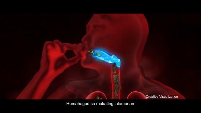 ASCOF Forte Menthol! It’s cool! смотреть онлайн