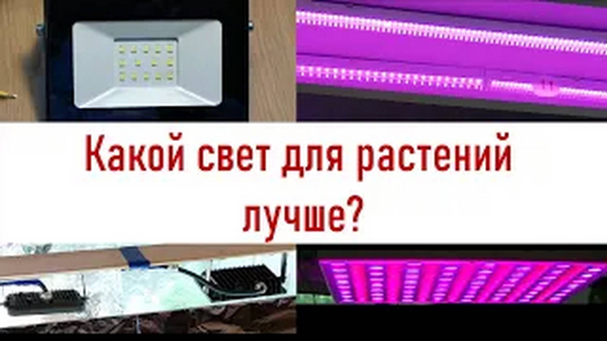 Как правильно подсвечивать растения - кратко и понятно. Питомник Садпочтой.рф #садпочтой