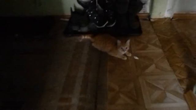 влог 04 02 20 вторая часть смотреть онлайн