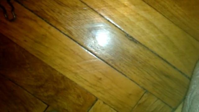 Мои домашние животные смотреть онлайн