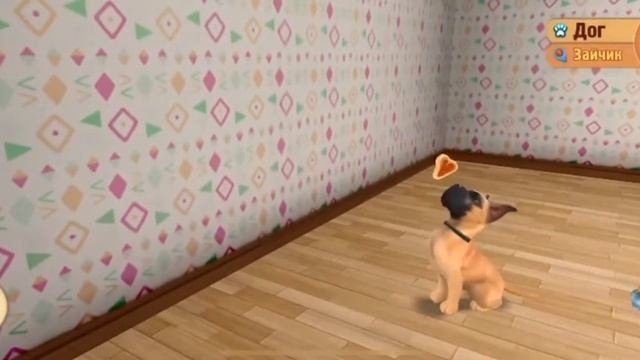 как мы учим команды Dog_Town смотреть онлайн