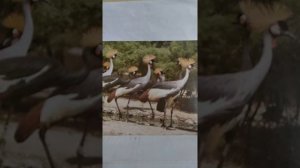 1 апреля 2020 г.!!!!! *ПоЙ ,ВасЯ!"