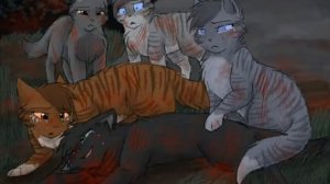смерти котов воителей warrior cats... death.redtail
