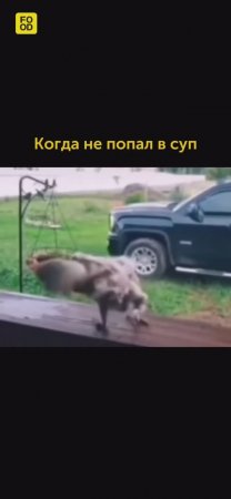 Сегодня мы без супа, а вы? 😂 #foodru #рецепты #юмор