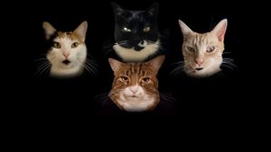 Bohemian Catsody - A Rhapsody Parody Song for Every Cat Queen and King!