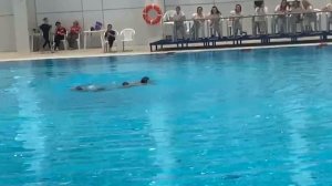 плавание 🏊♂️ синхронное плаванье