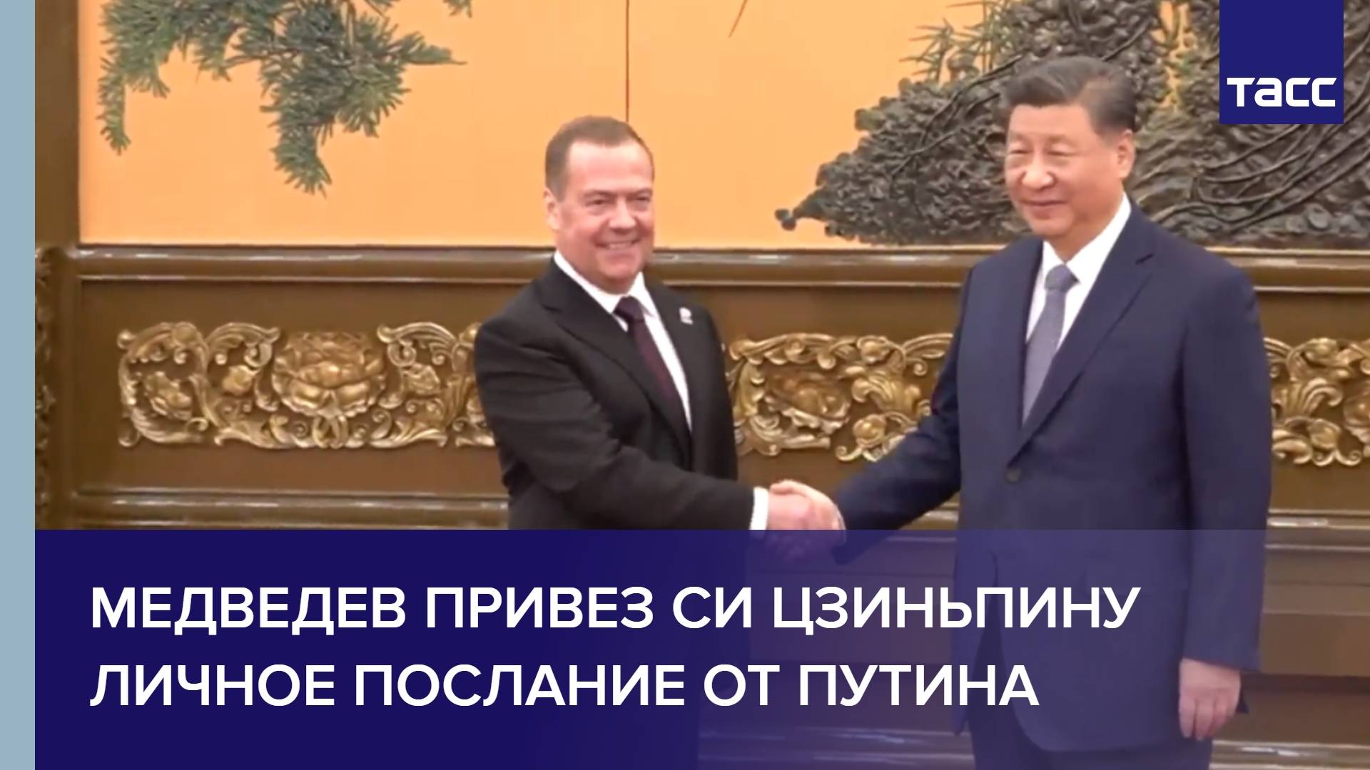 Медведев привез Си Цзиньпину личное послание от Путина